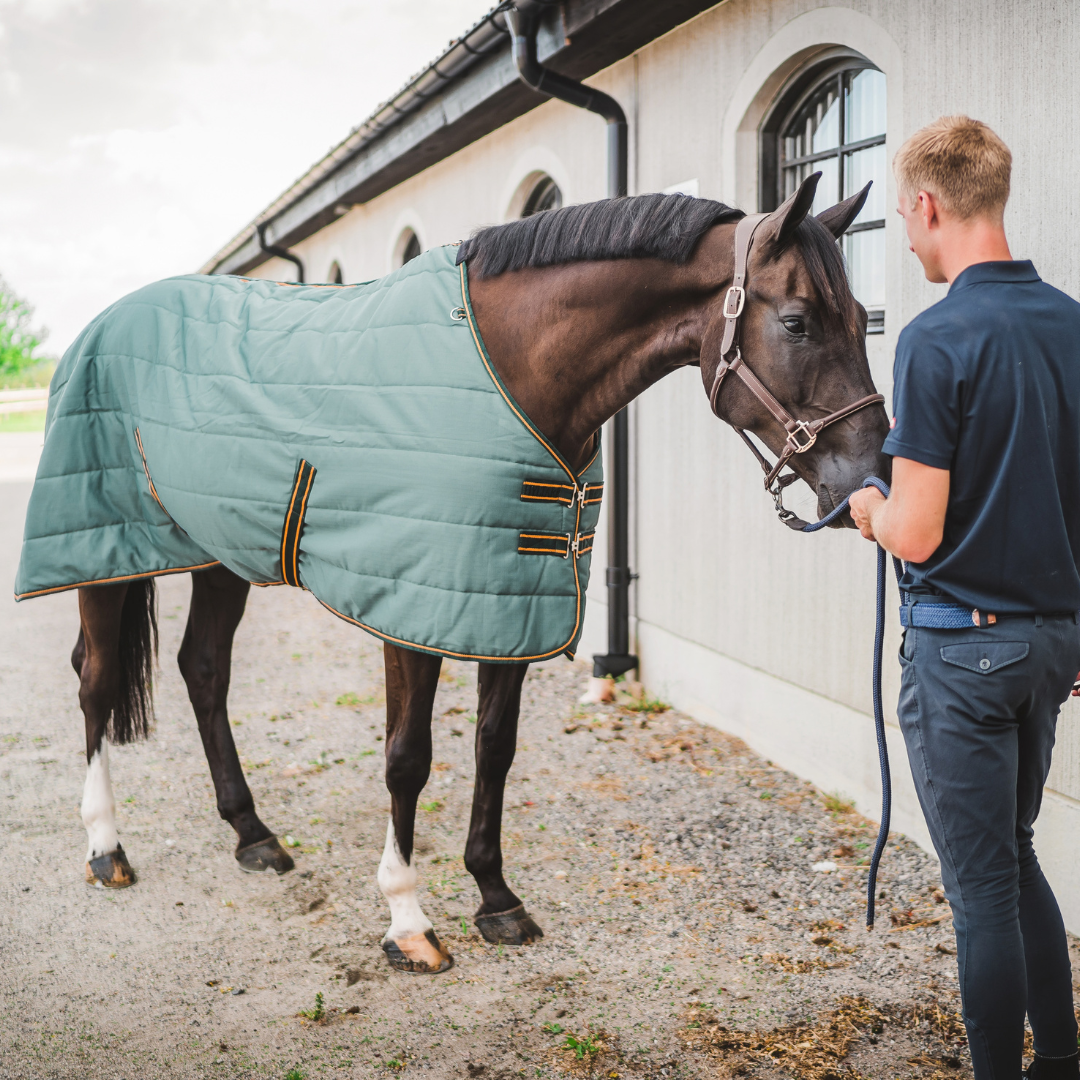 Hyltarp Stable Rug Blaze 200g Military green