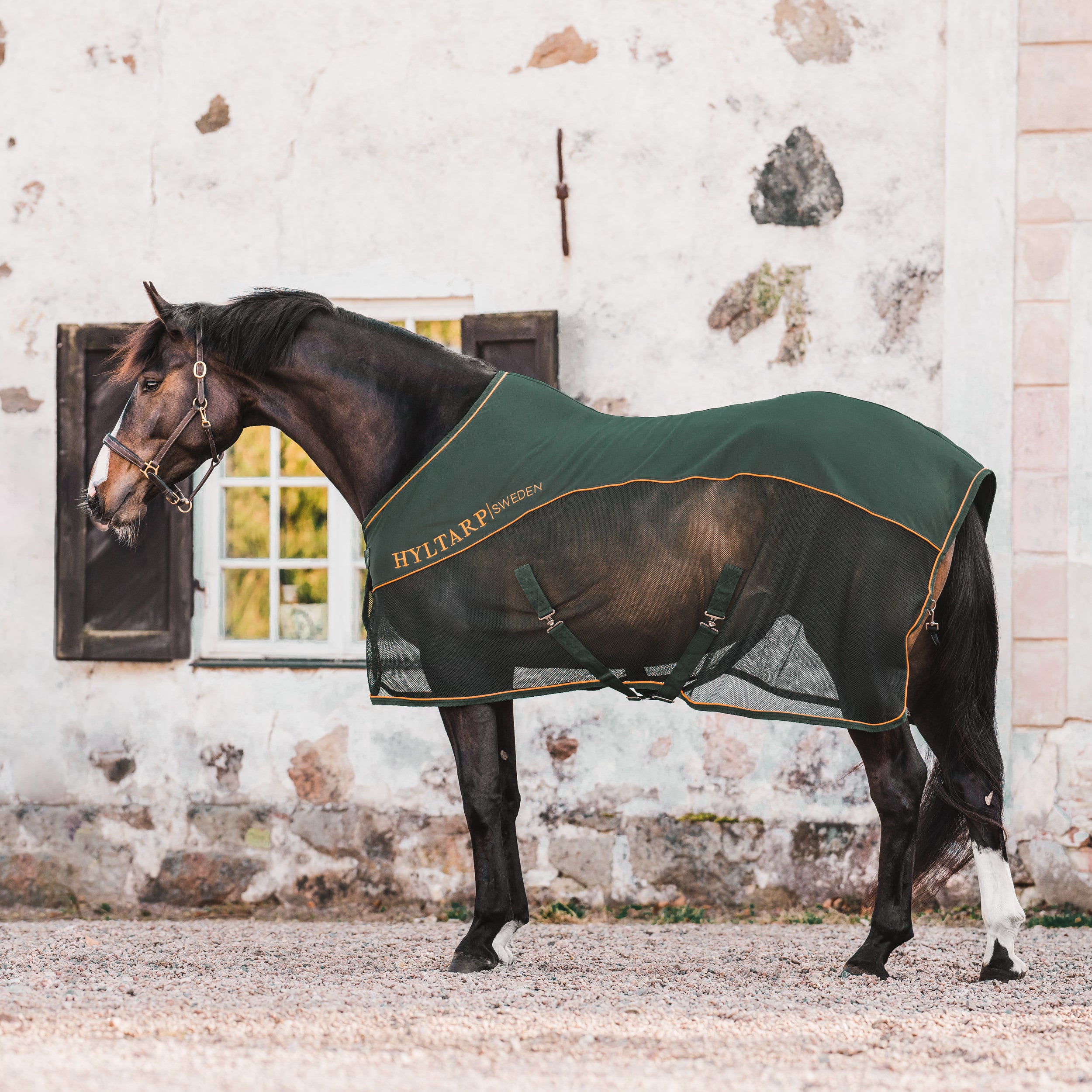 Hyltarp Softshell Competition Pine Grove