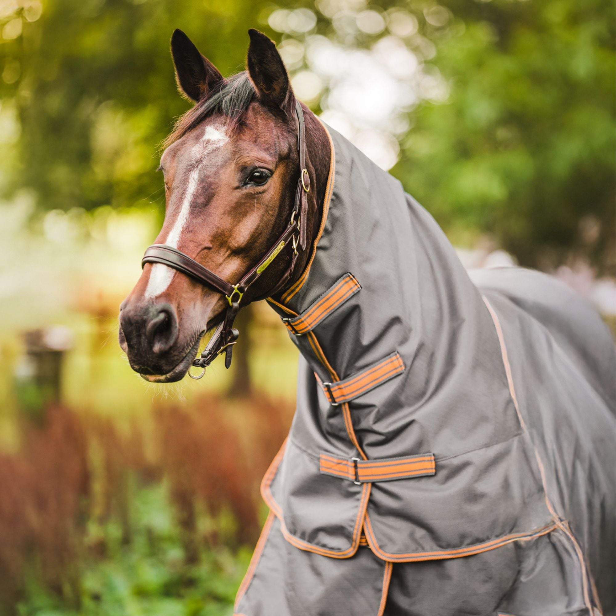 Hyltarp Hals Regntäcke Dusty 0 g