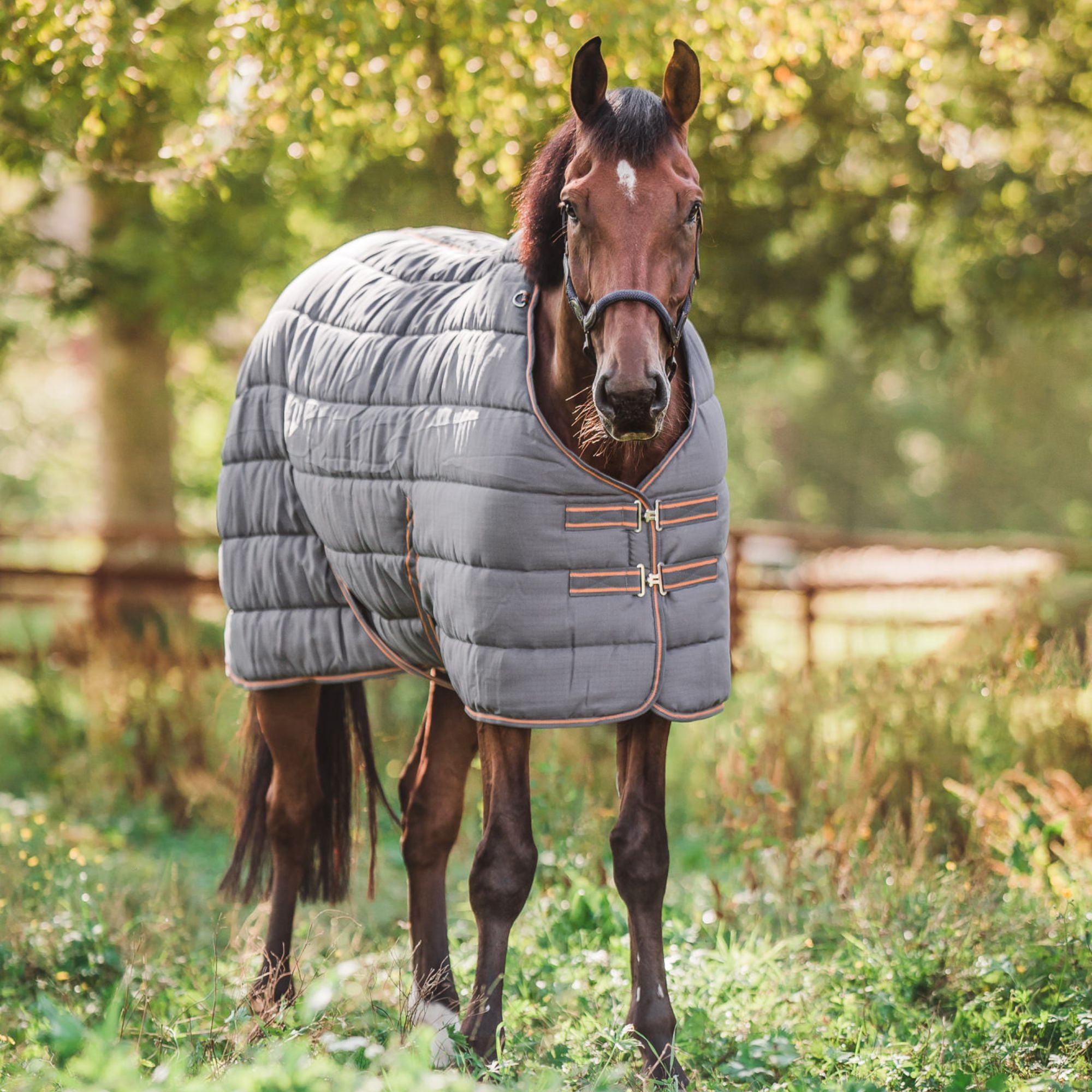 Hyltarp Stable Rug alice 400g Castor grey