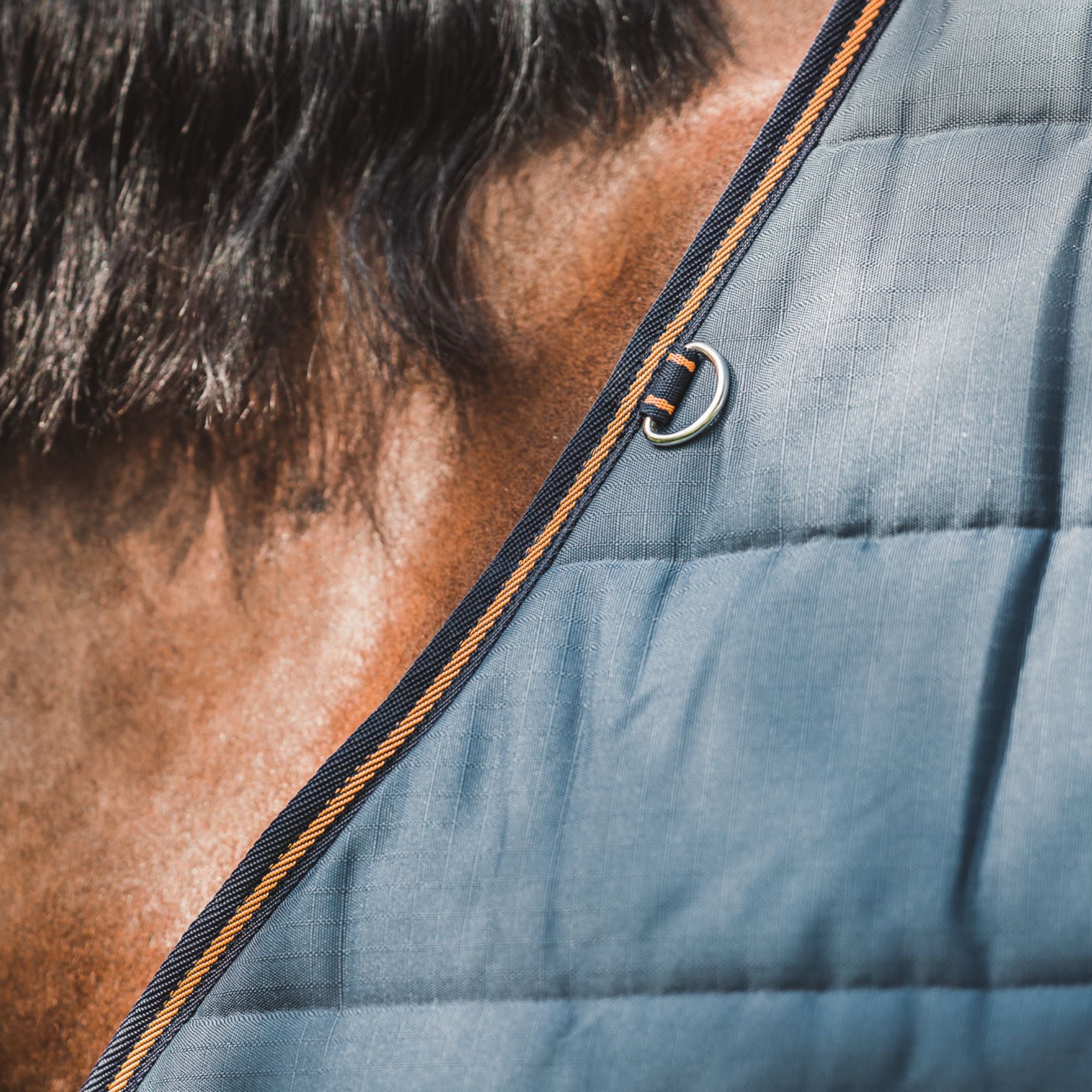 Hyltarp Stable Rug alice 400g China blue