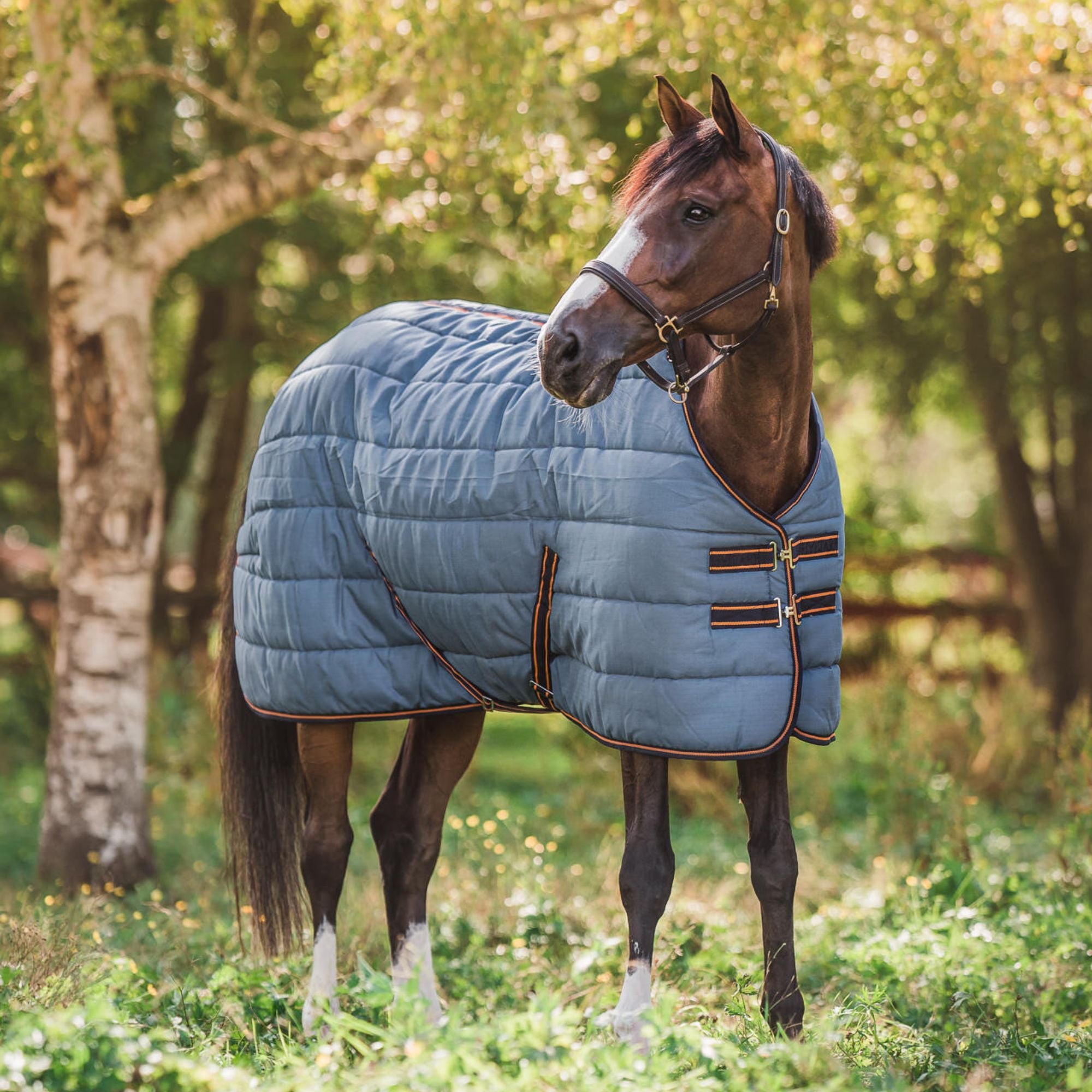 Hyltarp Stable Rug alice 400g China blue