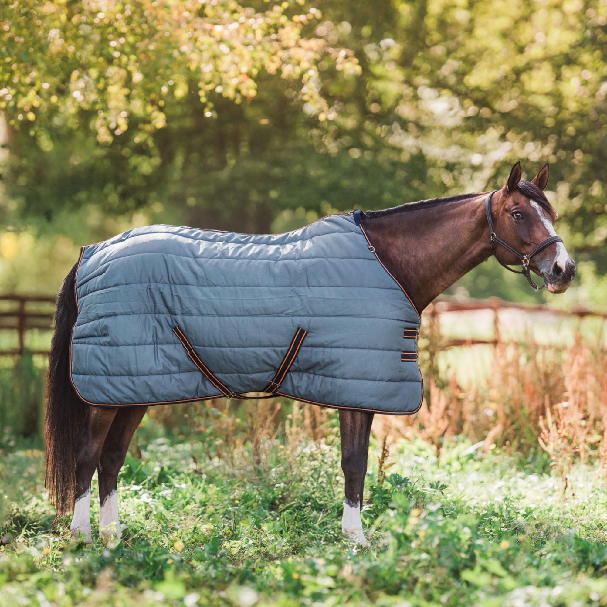 Hyltarp Stable Rug alice 400g China blue