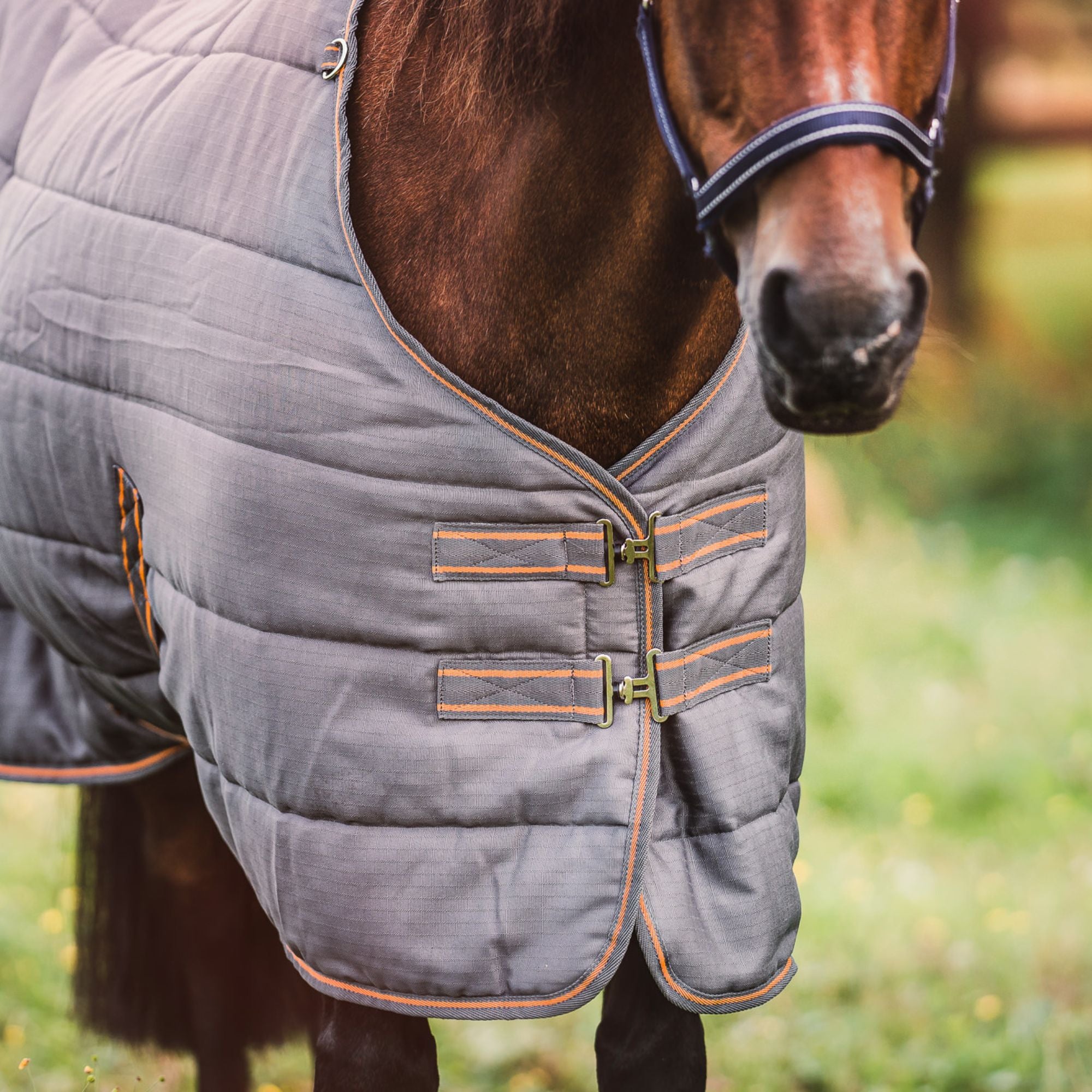 Hyltarp Stable Rug Blaze 200g Castor grey