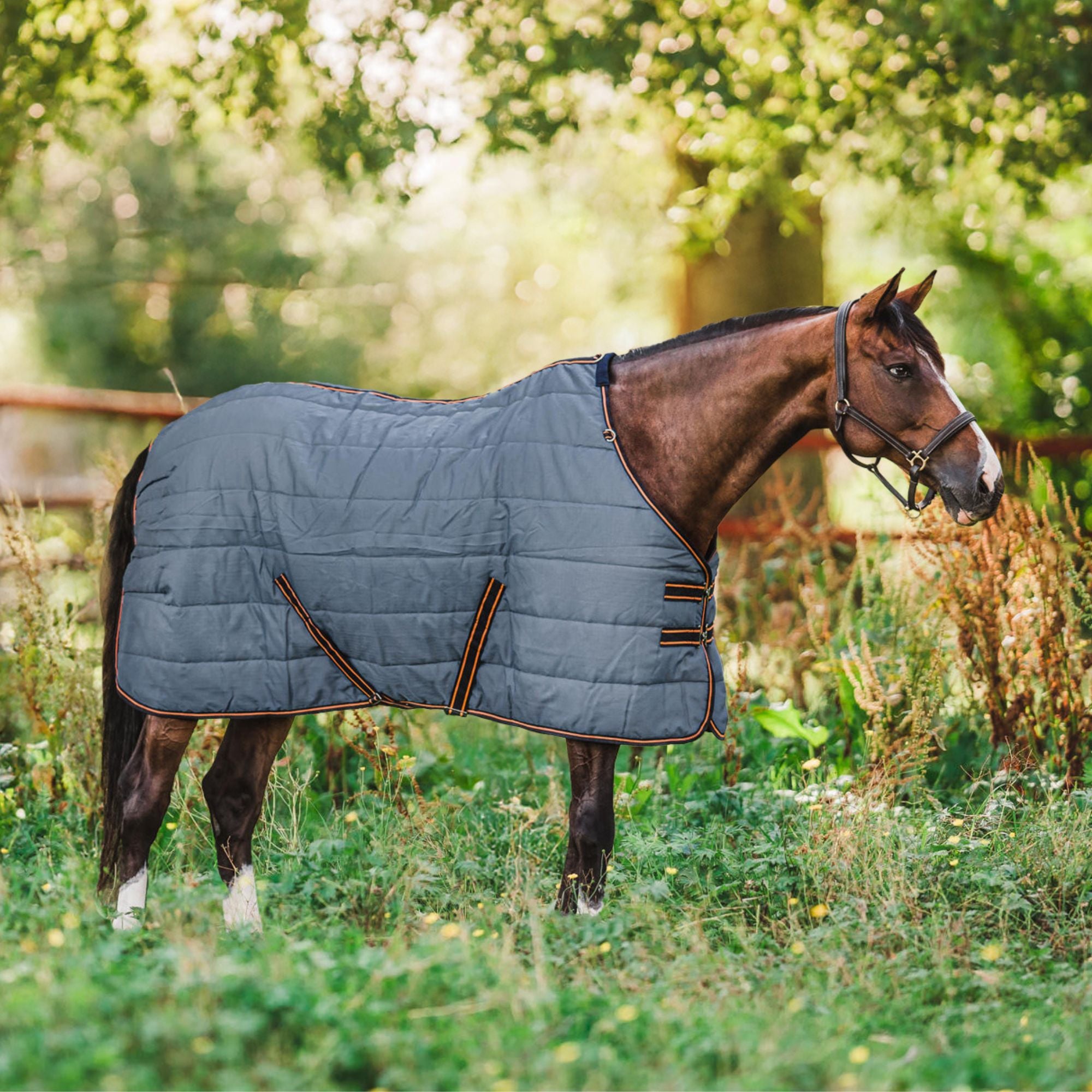 Hyltarp Stable Rug Blaze 200g China blue