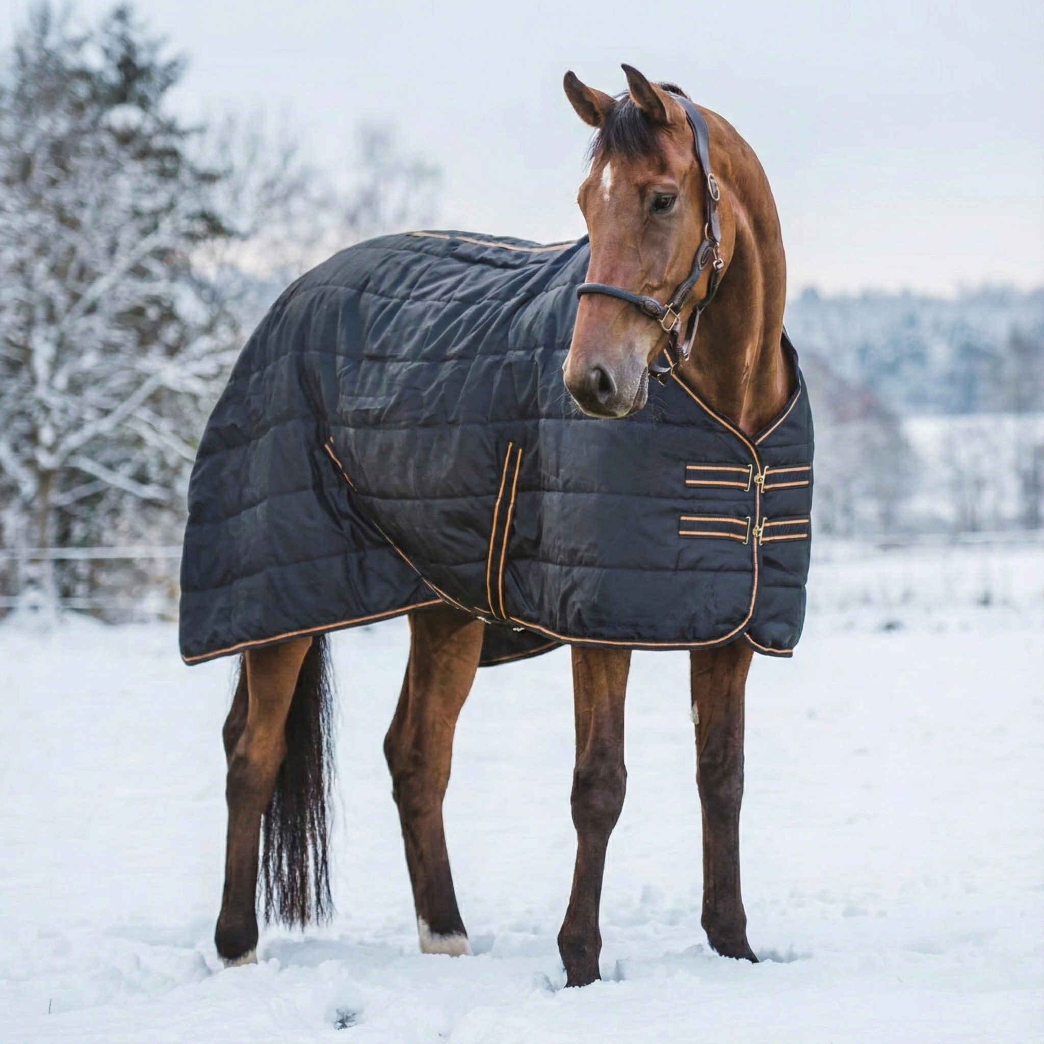 Stalddækken Blaze 200 gram