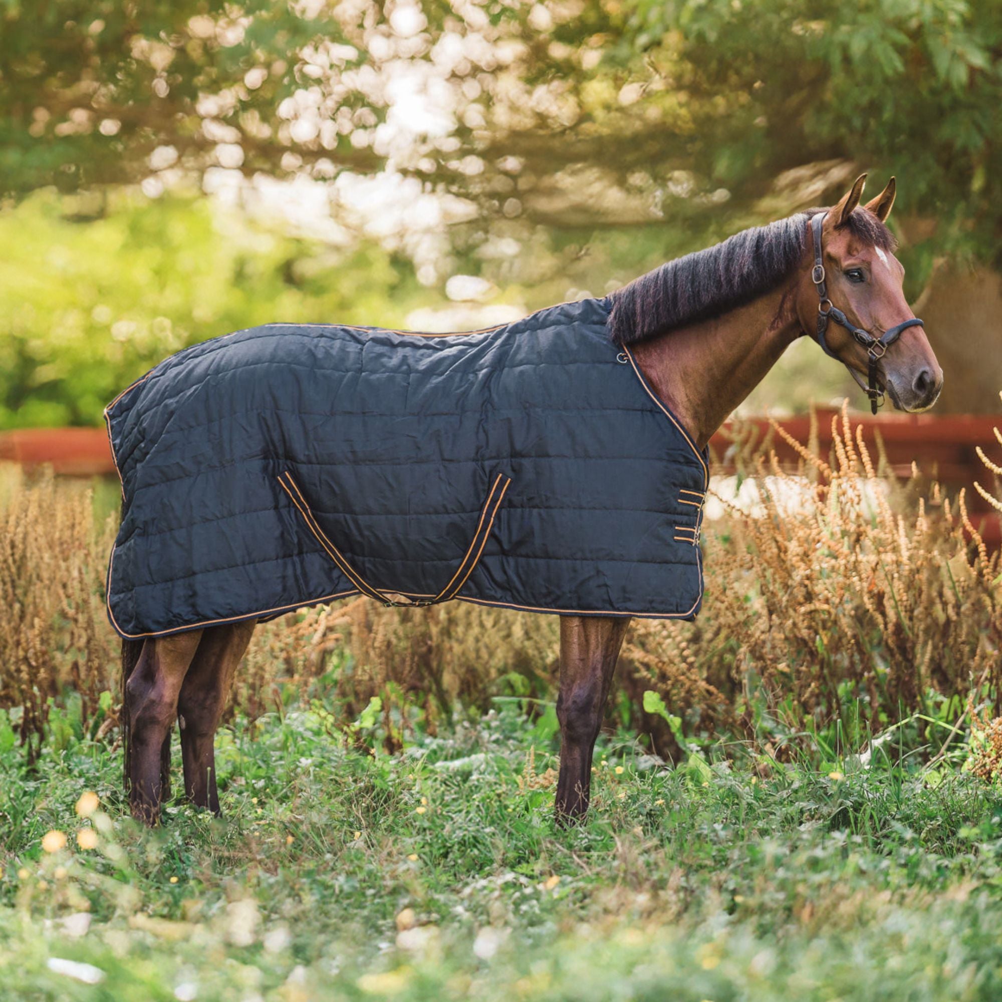 Hyltarp Stable Rug Blaze 200g Salute blue