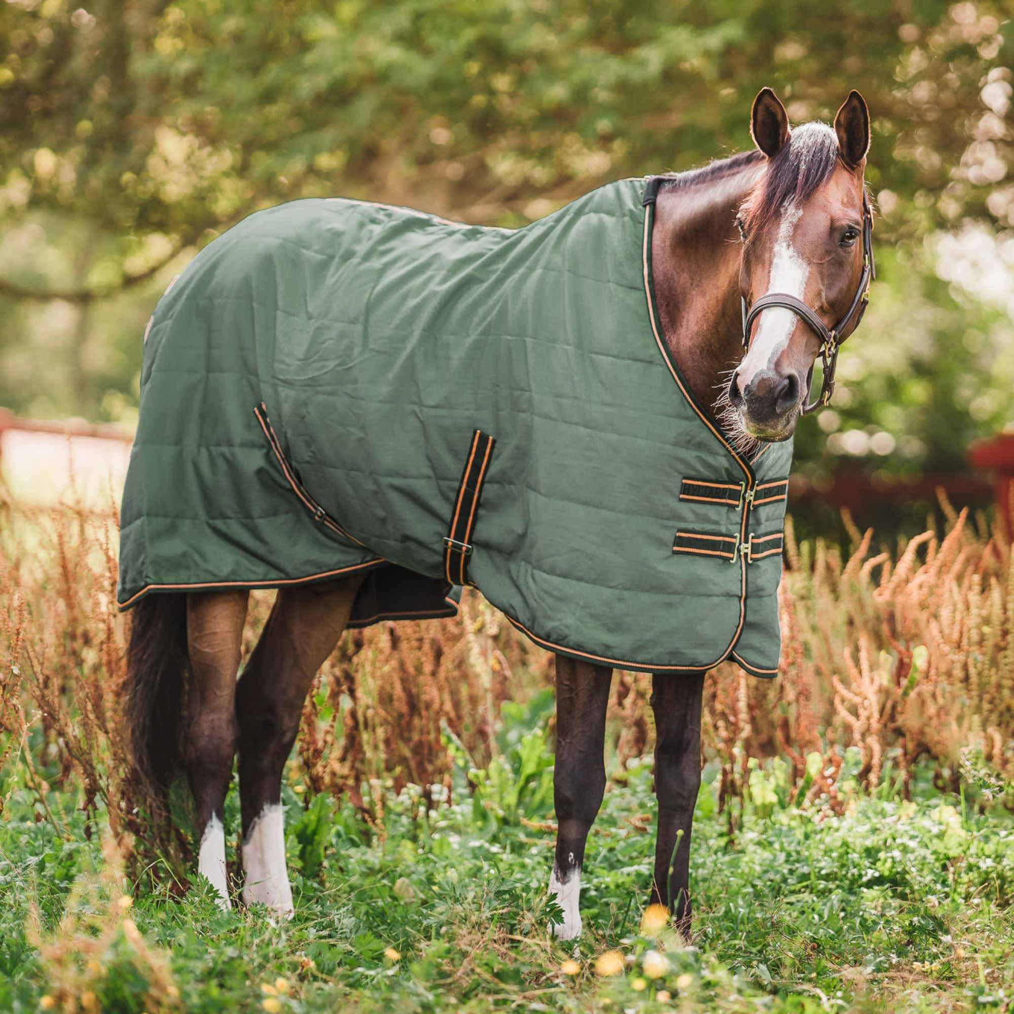 Hyltarp Stable Rug Niki 0 gram Military green
