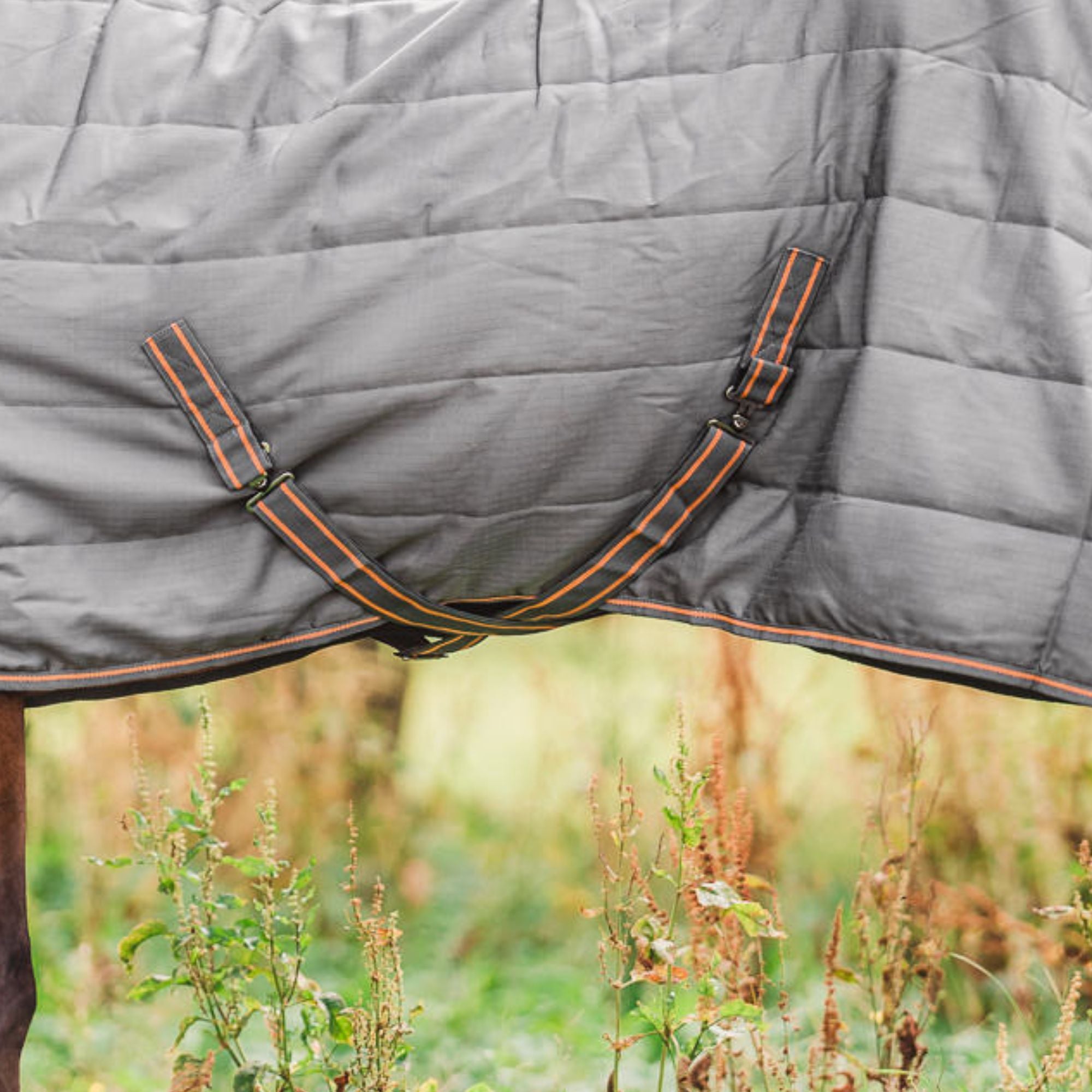 Hyltarp Stalltäcke Razzla 100 g Castor Grey