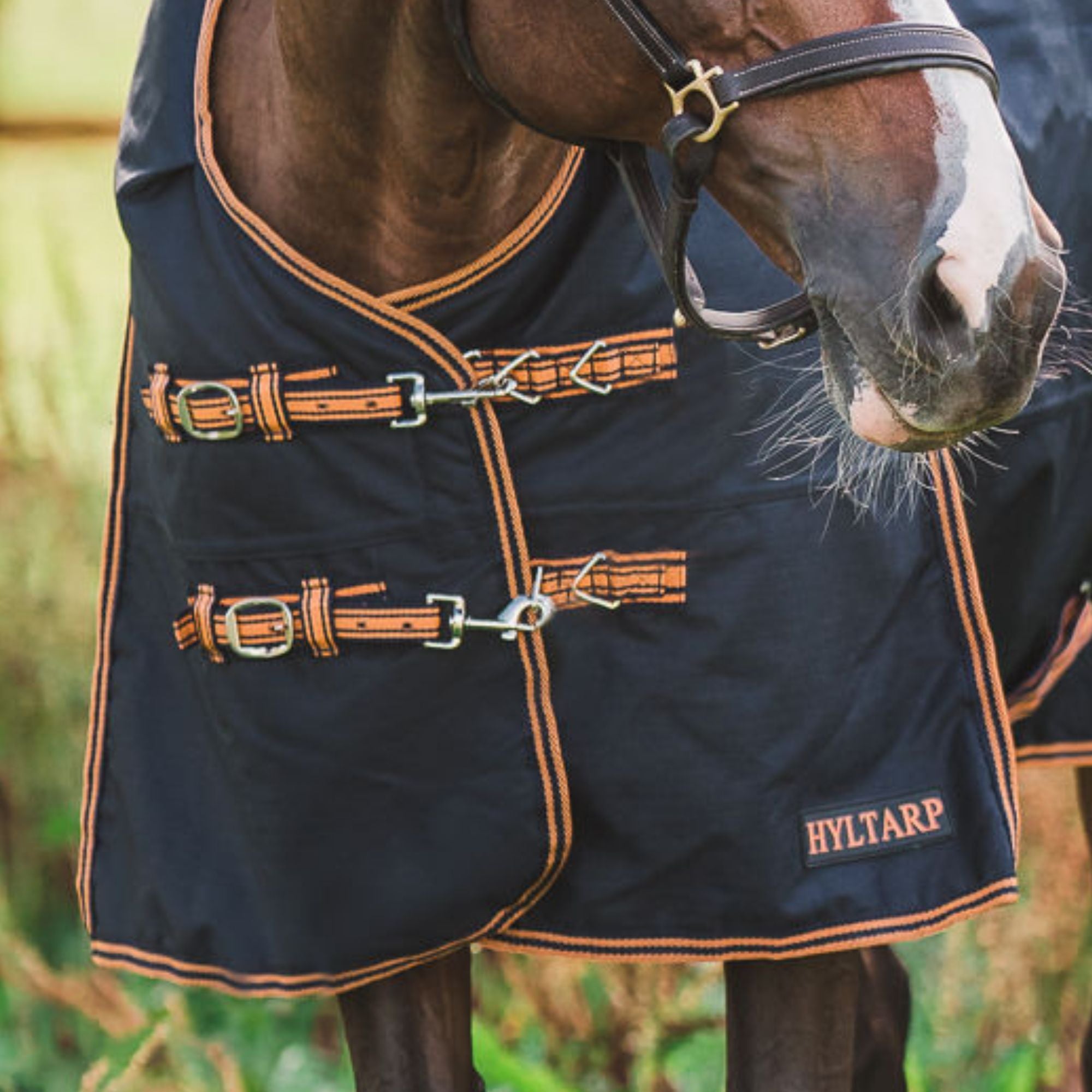 Hyltarp Utetäcke Caisa 250 g