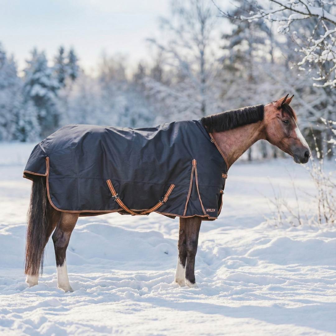 Outdoordecke Caisa 250g