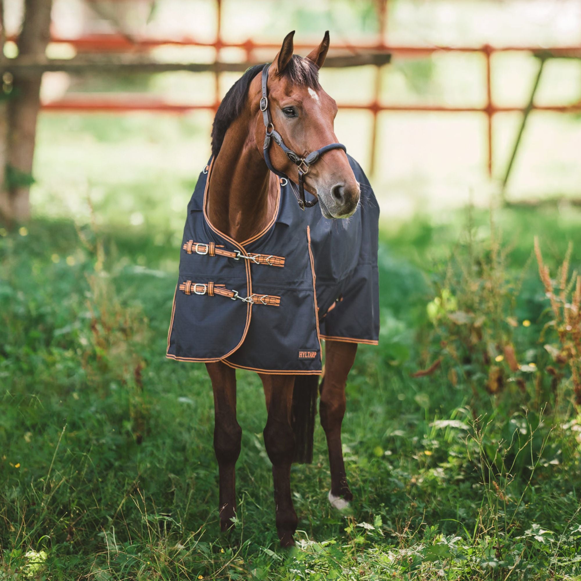 Hyltarp Regntäcke Dusty 0 g