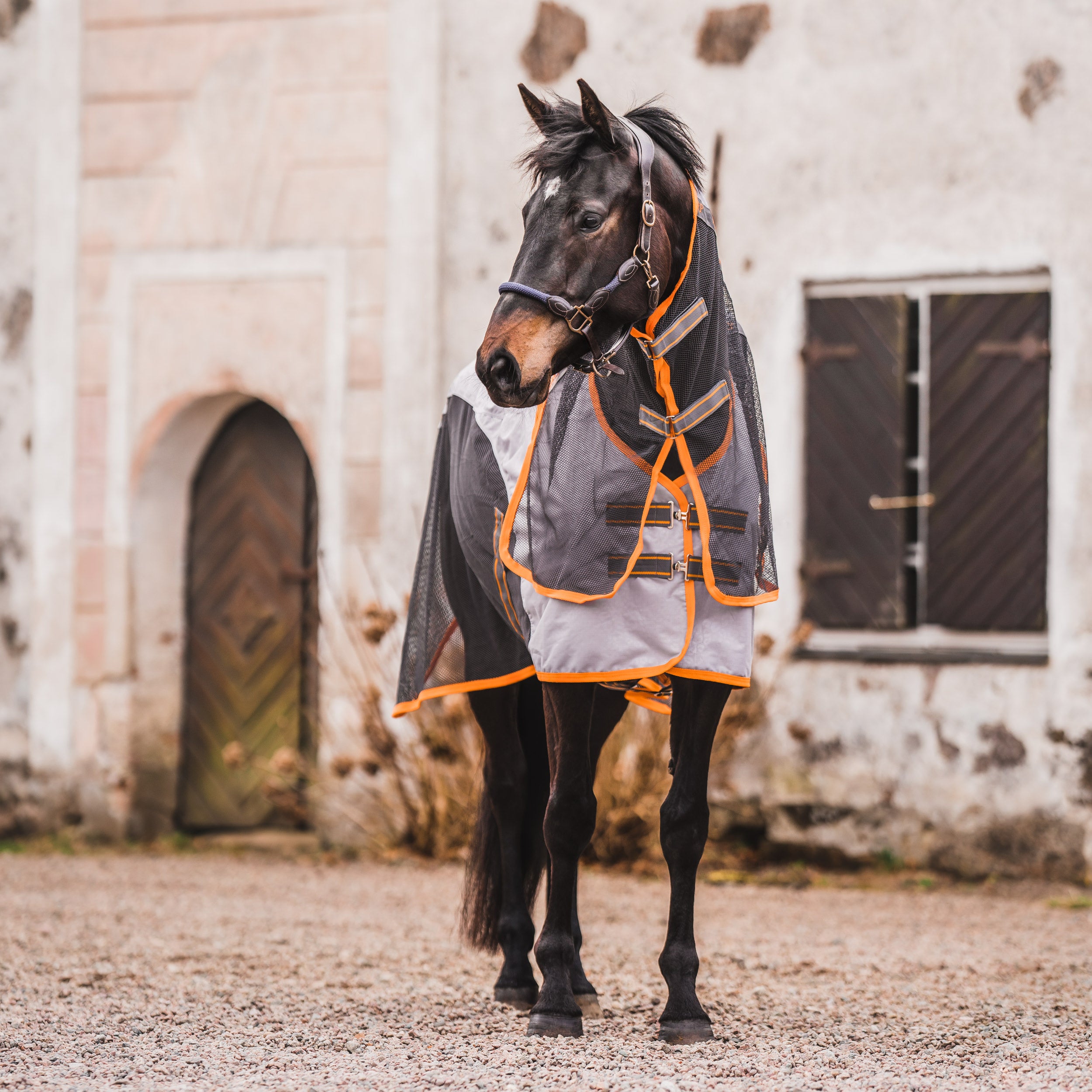 Hyltarp Summer Rain Alloy