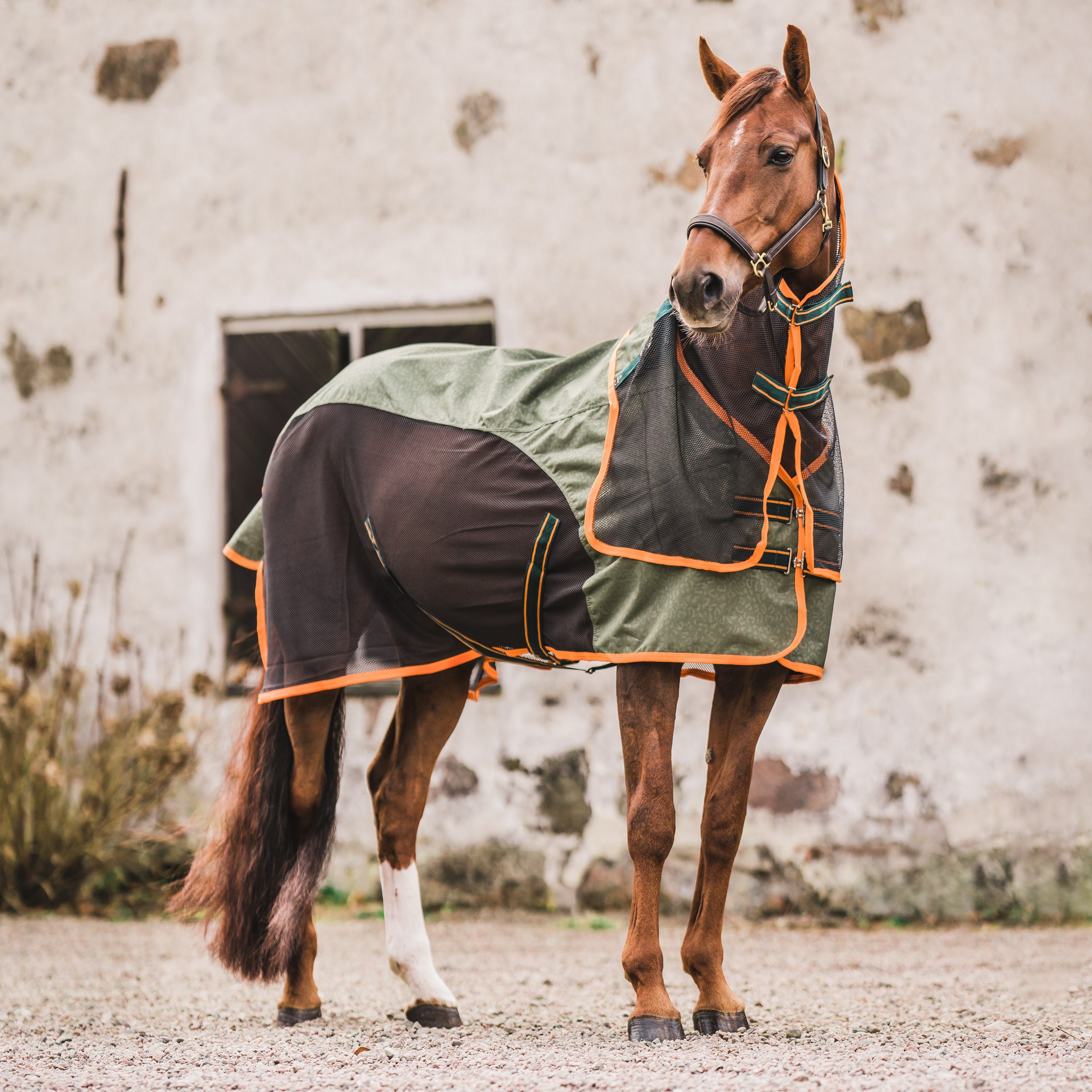 Hyltarp Summer Rain Safari Green