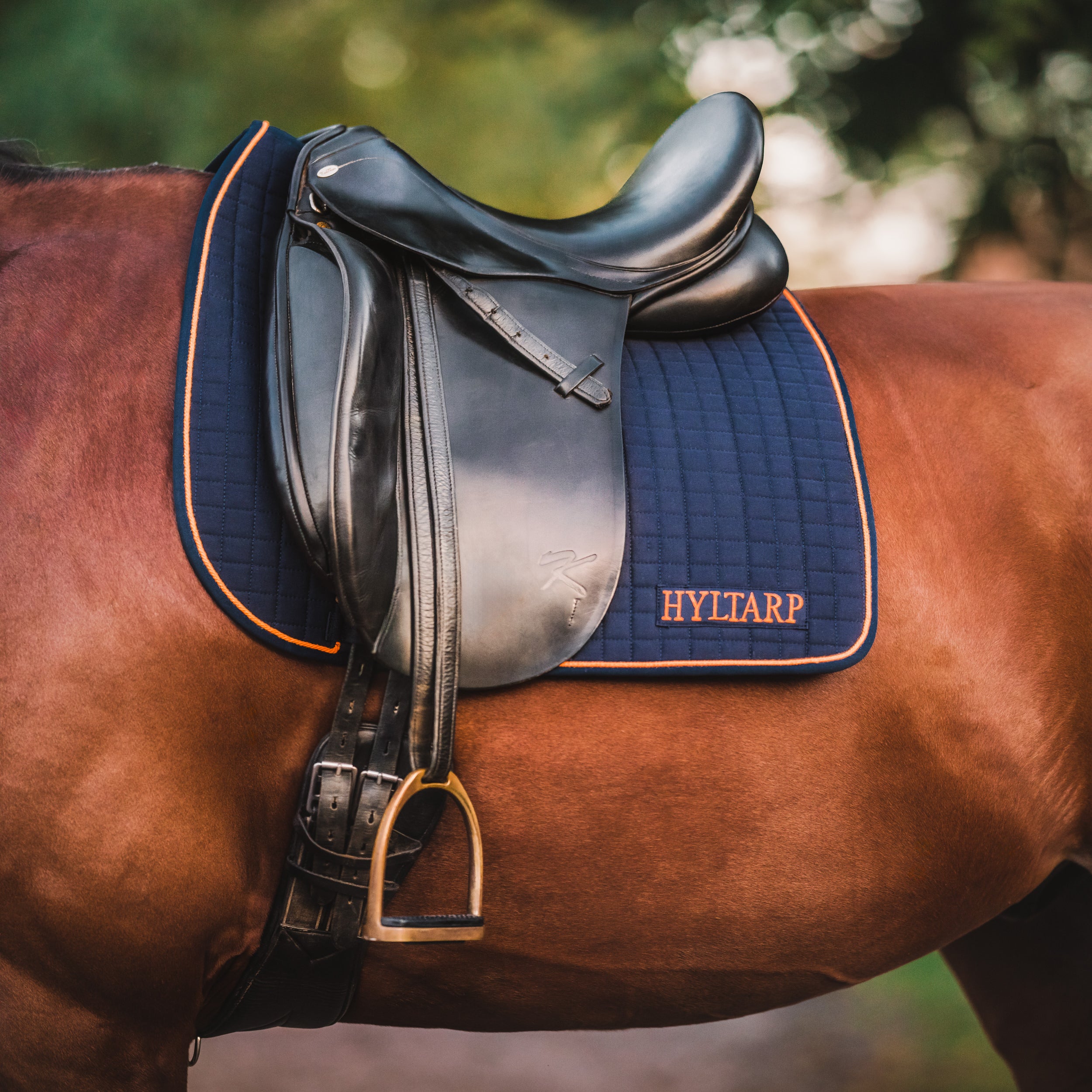 Hyltarp Dressyrschabrak Blå