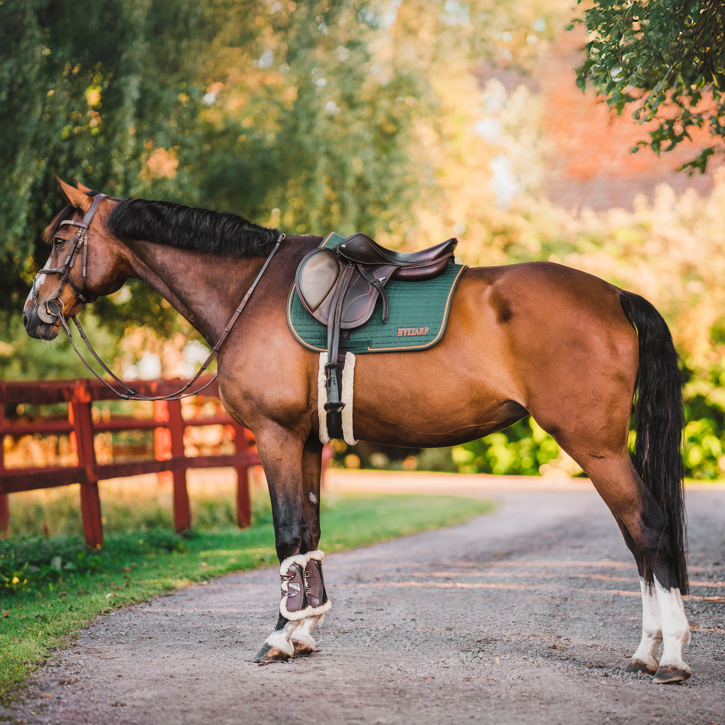 Hyltarp Hoppschabrak Grön