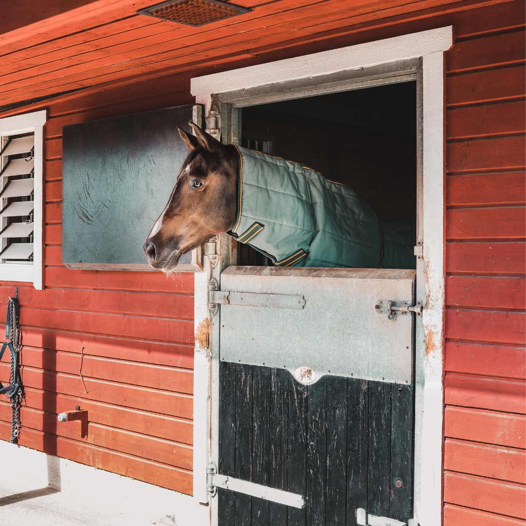 Hyltarp Stable Neck cover 200 g Military green 