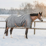 Turnout Rug Caisa 250 grams