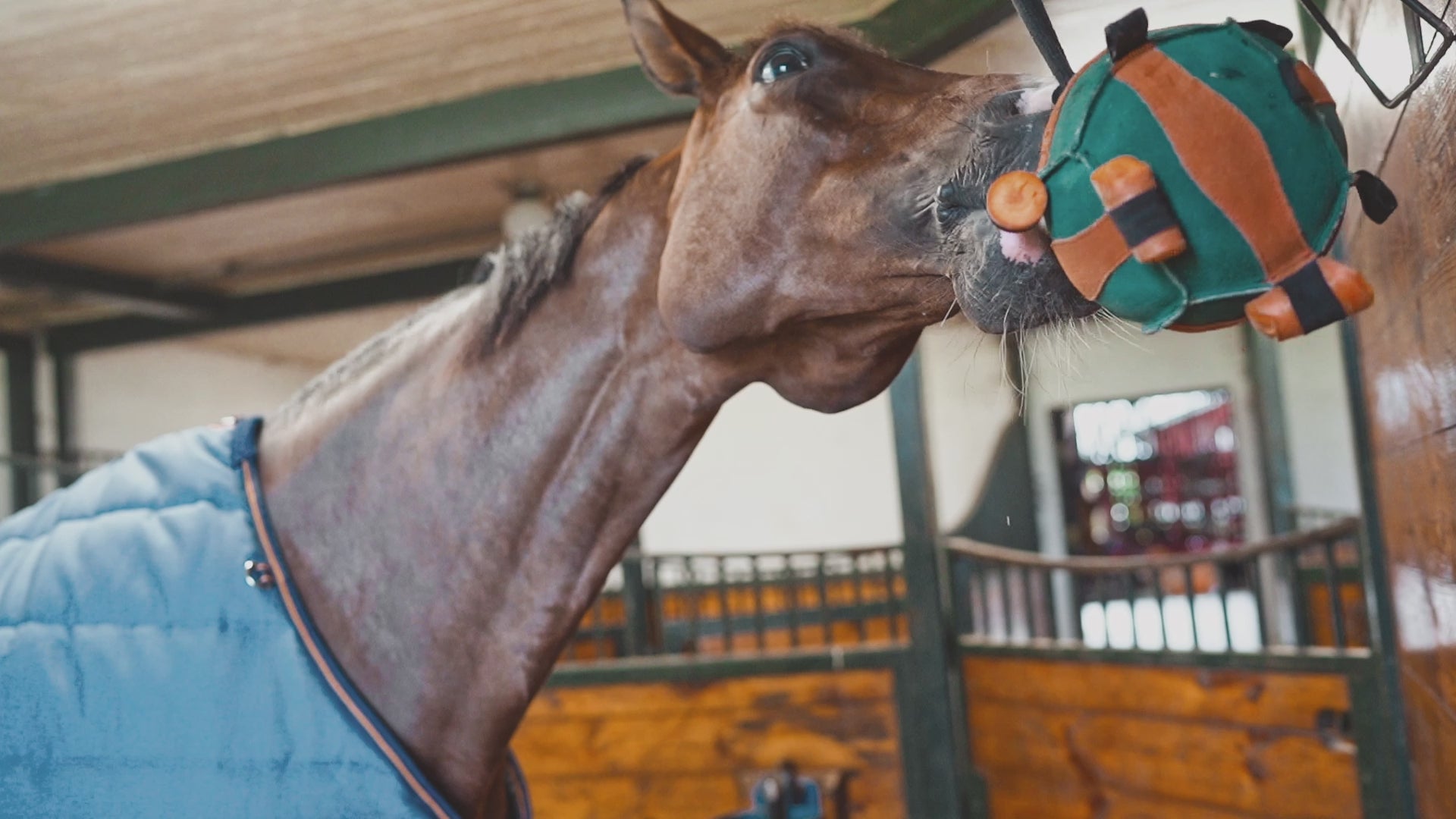 #sv:farg_military-green,nl:kleur_military-green,fr:couleur_military-green,it:colore_military-green,es:color_military-green,en:color_military-green,da:farve_military-green,de:farbe_military-green,fi:vari_military-green,nb:farge_military-green