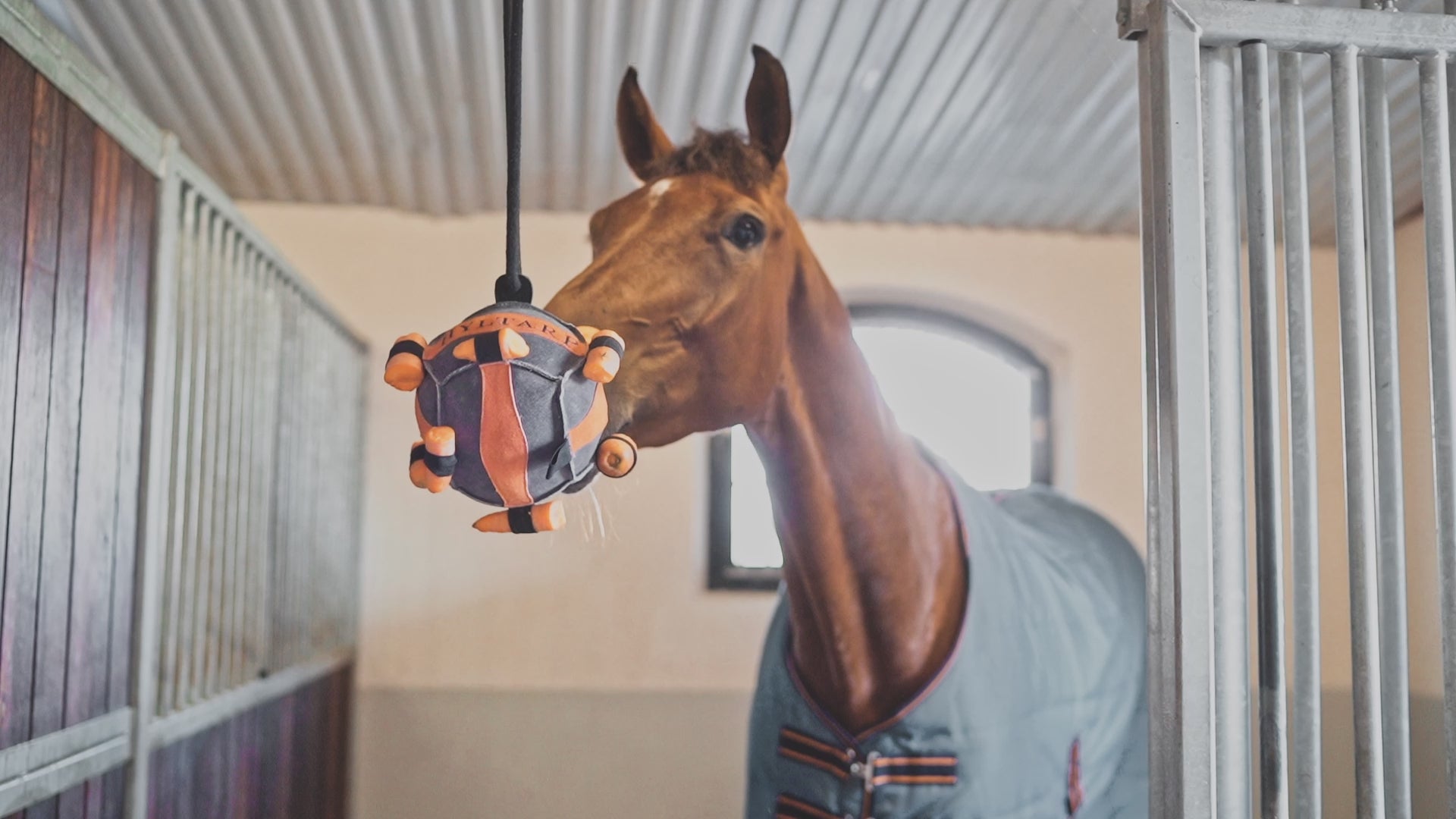 #sv:farg_castor-grey,nl:kleur_castor-grey,fr:couleur_castor-grey,it:colore_castor-grey,es:color_castor-grey,en:color_castor-grey,da:farve_castor-grey,de:farbe_castor-grey,fi:vari_castor-grey,nb:farge_castor-grey